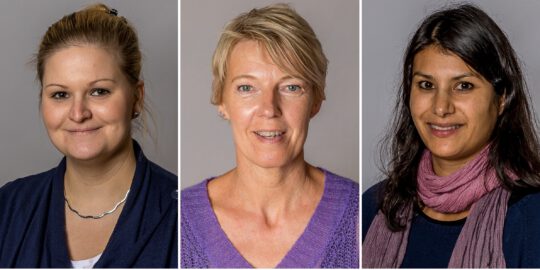 2024 Nachhilfenetz 2024 Nachhilfenetz